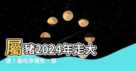 屬豬幸運色2024|2024豬年開運色速查